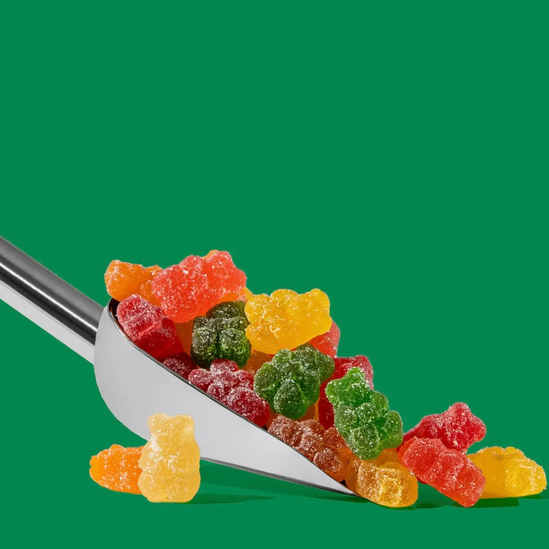 Candy House Sour Gummi Bears